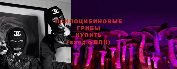 сатива Алзамай