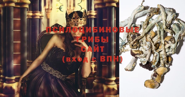винт Алексеевка